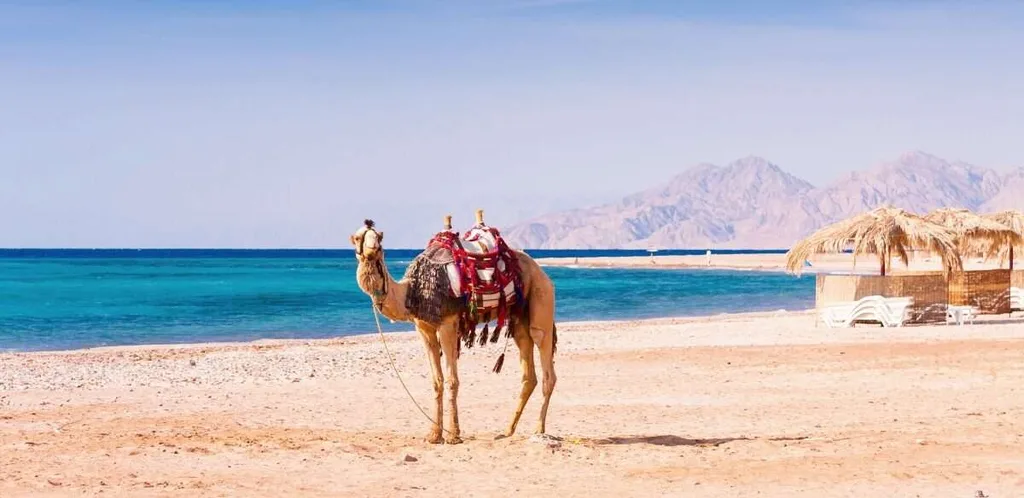 Egypt Yacht CHarter Destination for diving and kitesurfing with YACHT STORY