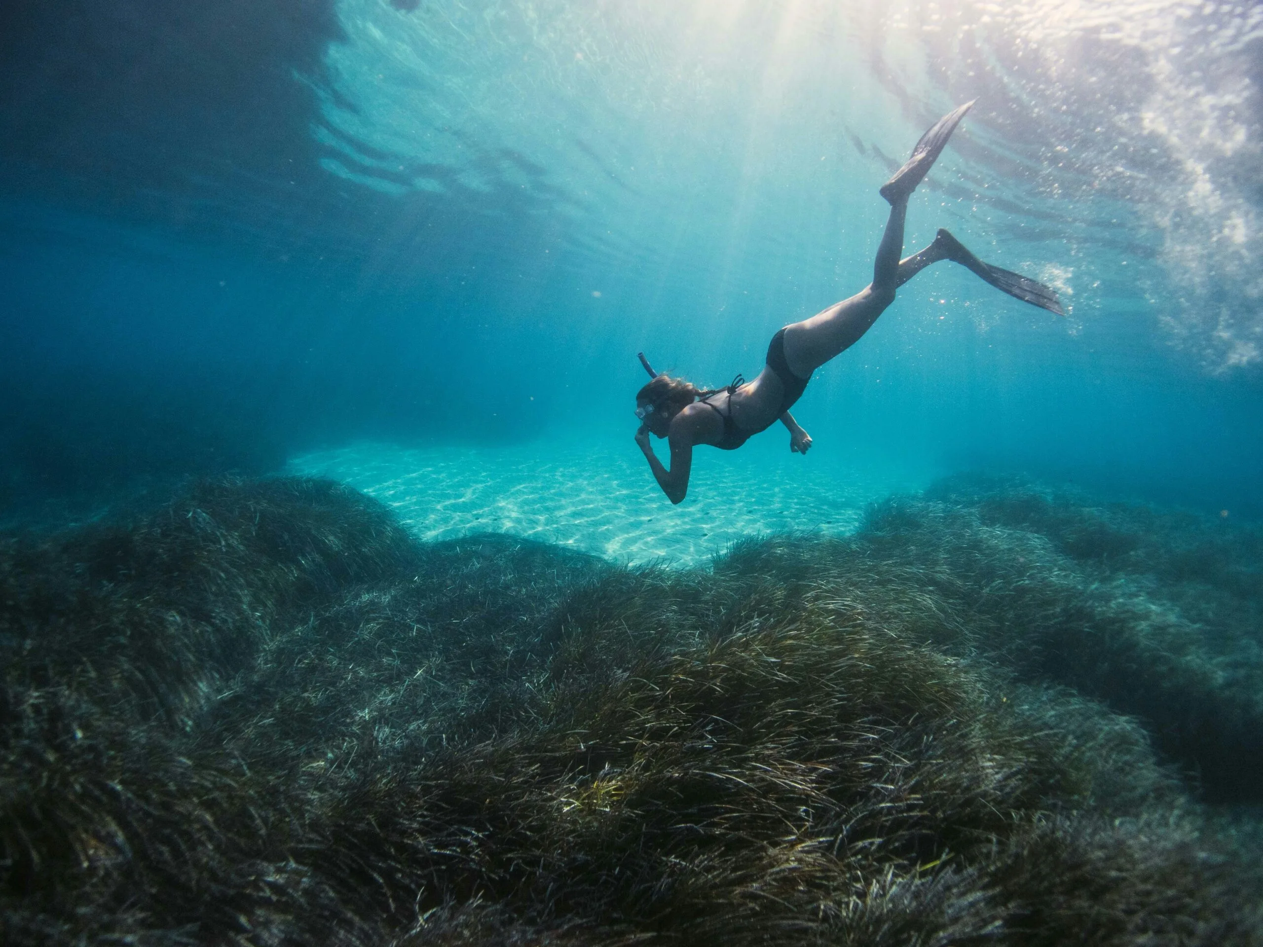 From Shipwrecks to Underwater Wineries: Get Ready to Dive Into Croatia’s Captivating Underwater world.